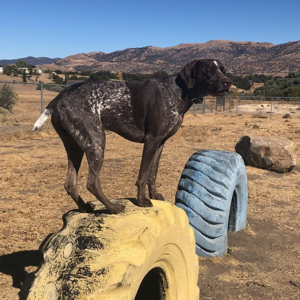Tehachapi California