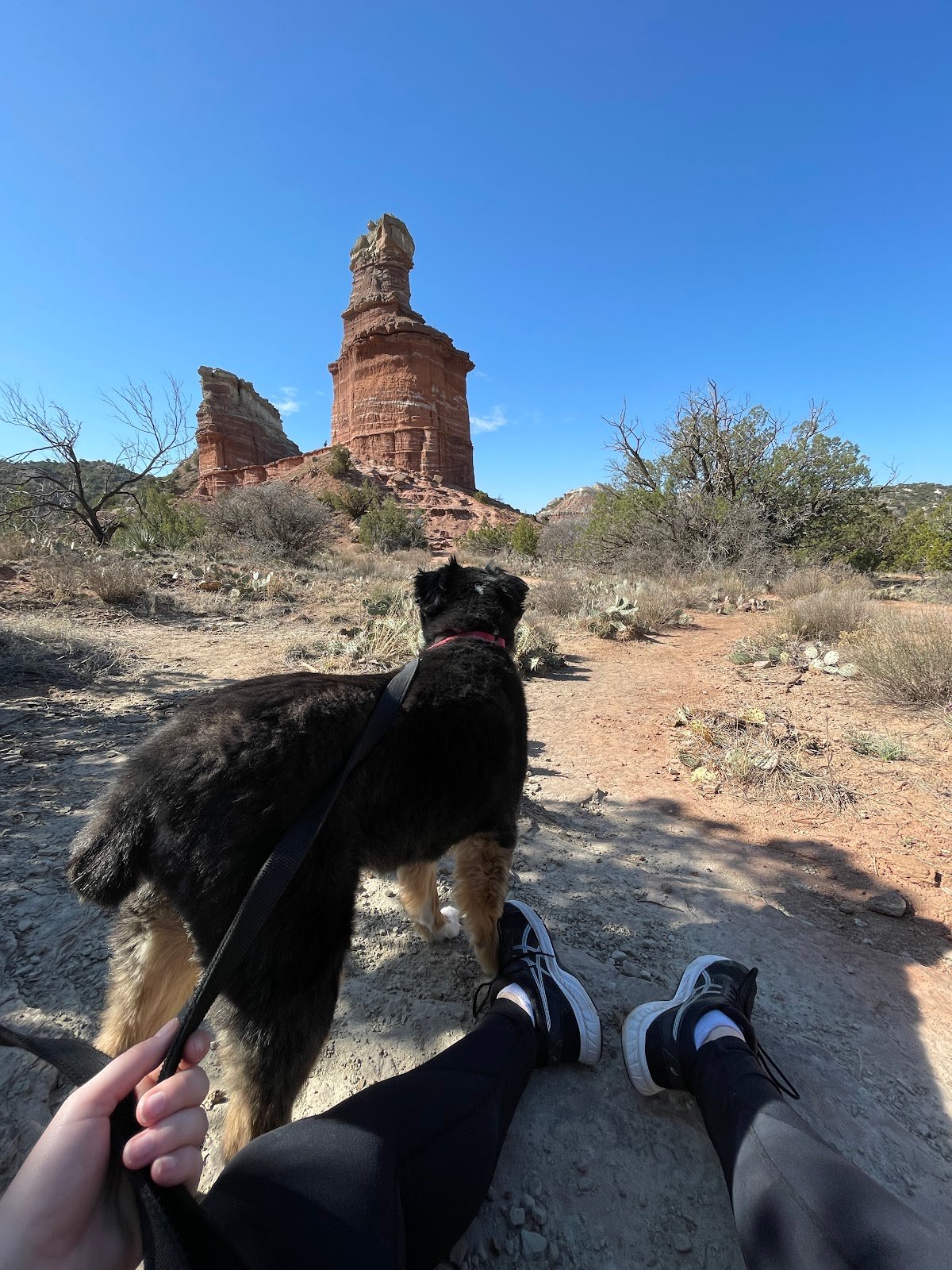 Amarillo Texas