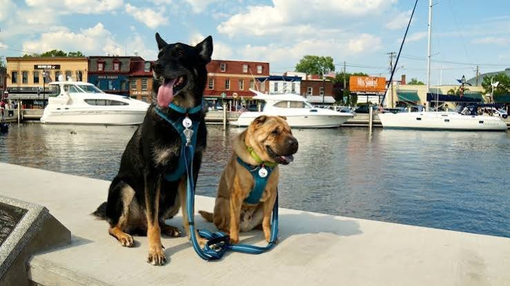 Annapolis Maryland