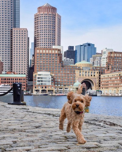 Boston Massachusetts