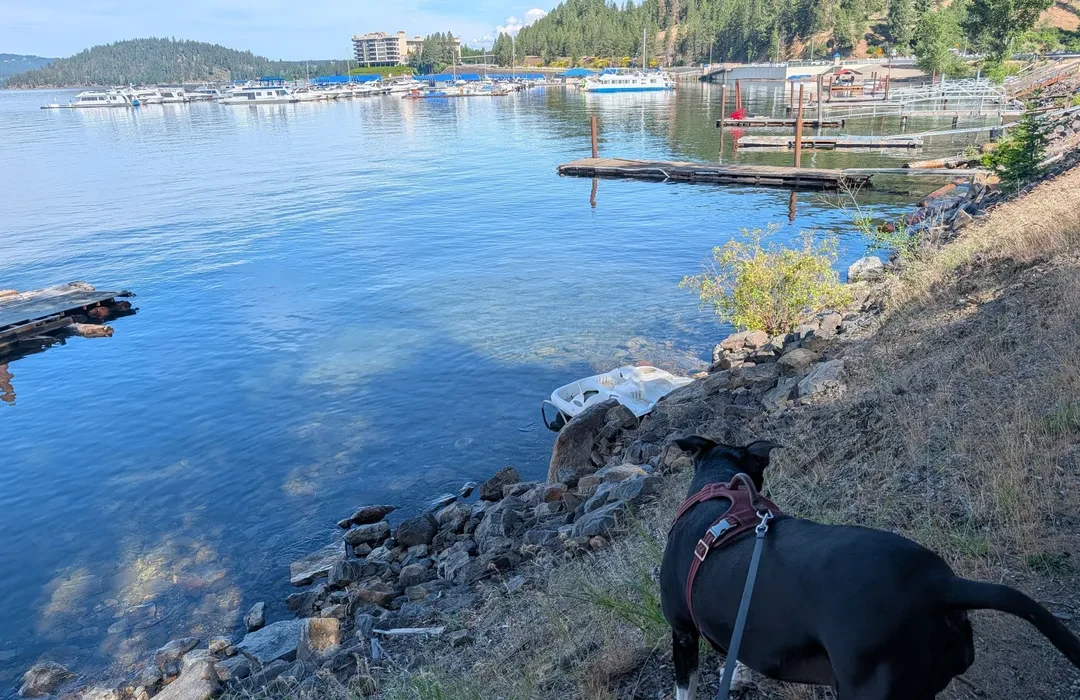 Coeur d'Alene Idaho