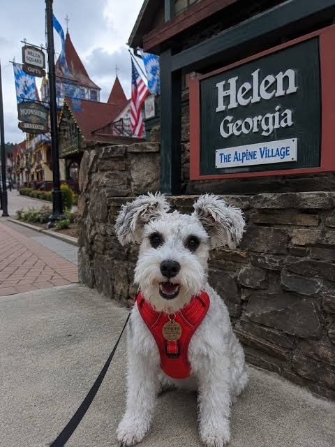 Helen Georgia