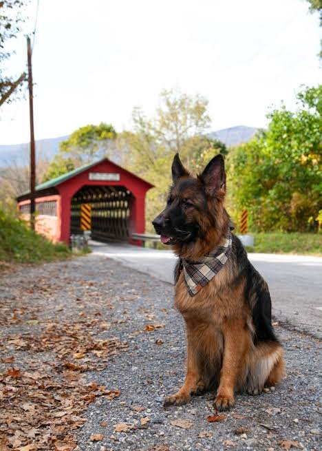 Manchester Vermont