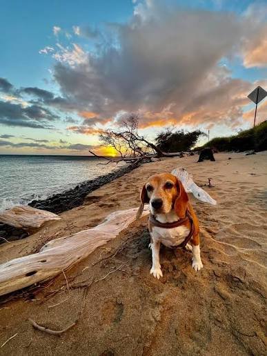 Maui Hawaii