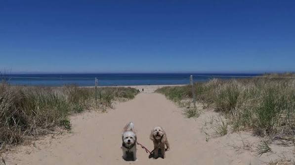 Provincetown Massachusetts