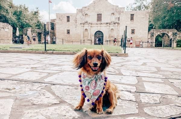 San Antonio Texas
