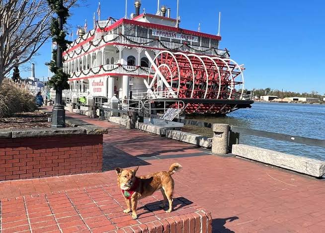 Savannah Georgia