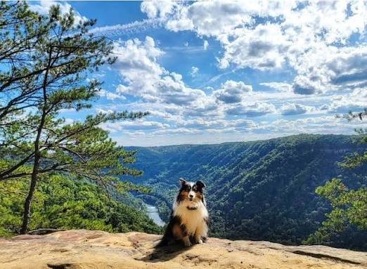 Summersville West Virginia