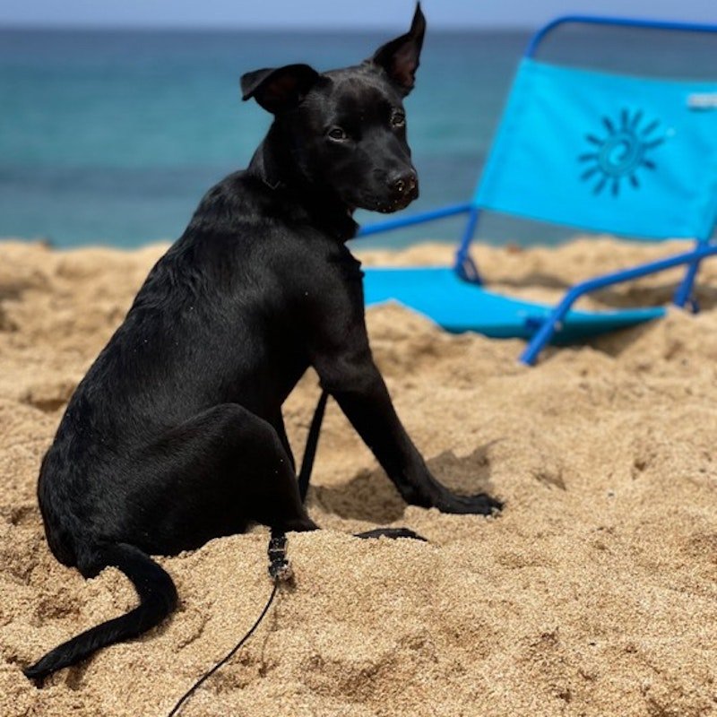 Waikiki Hawaii